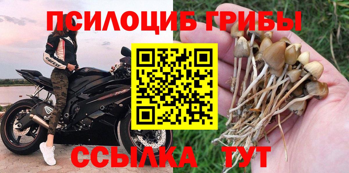 Галлюциногенные грибы мухоморы Кызыл