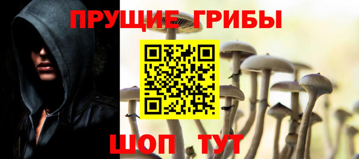 Псилоцибиновые грибы прущие грибы  купить наркотик  Кызыл  Вход с VPN 